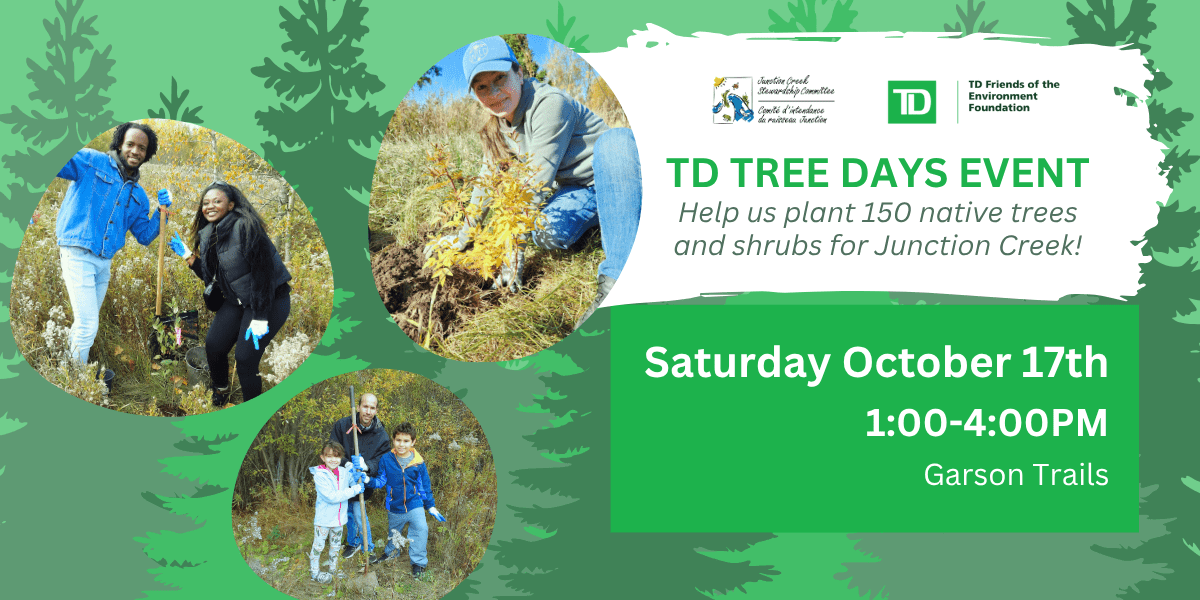 TD Tree Days Event