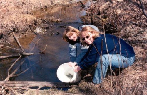 Trout Release Festival 2000