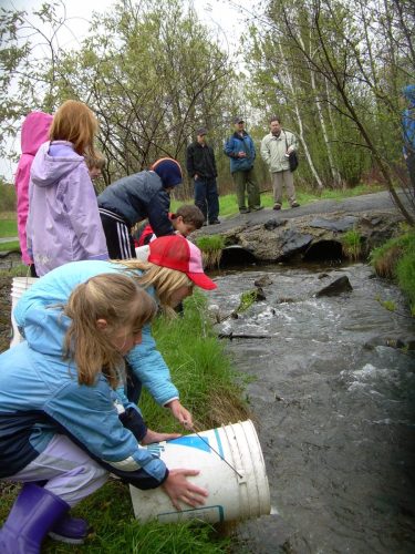 Trout Release Festival 2006, 2007 & 2008
