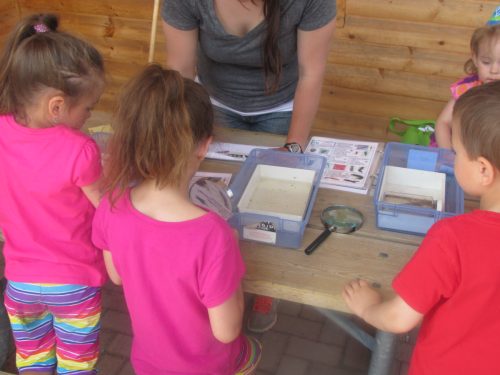 Trout Release Festival 2014 & 2015