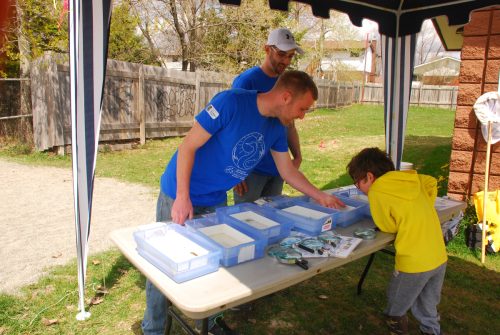 Trout Release Festival 2016 & 2017