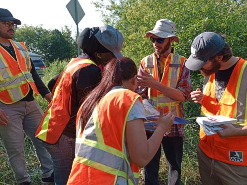 2024-07-26-St-George-fieldwork12